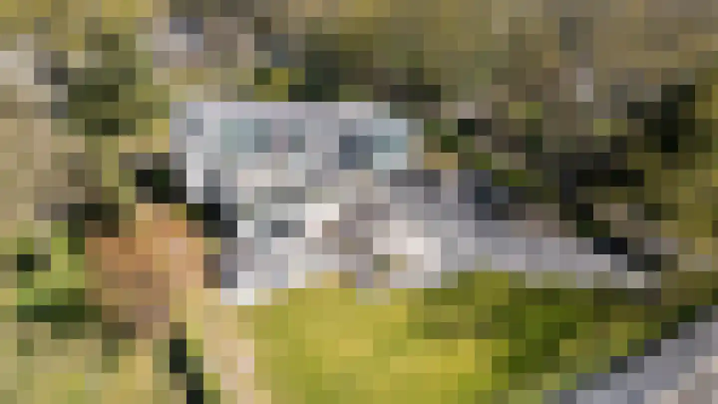 Onderstal 30 Hoogerheide thumbnail 49