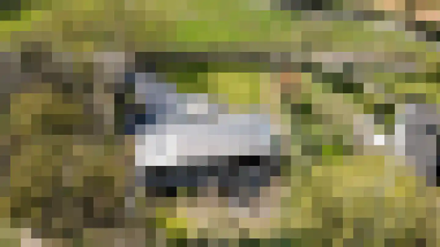 Onderstal 30 Hoogerheide thumbnail 50