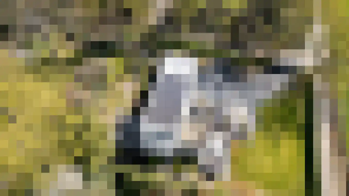 Onderstal 30 Hoogerheide thumbnail 52