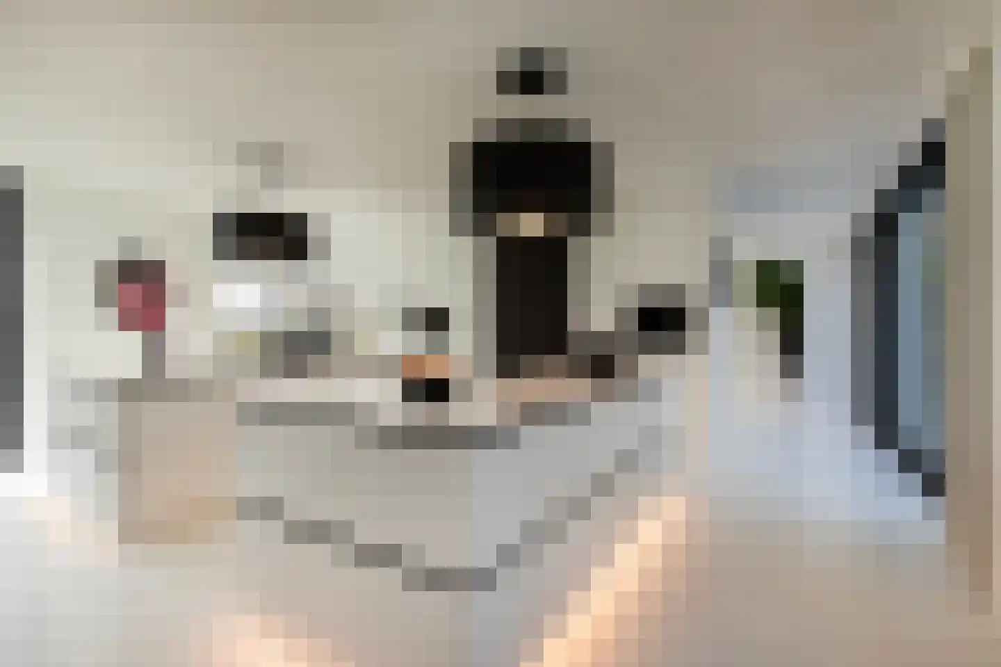 Onderstal 30 Hoogerheide thumbnail 9