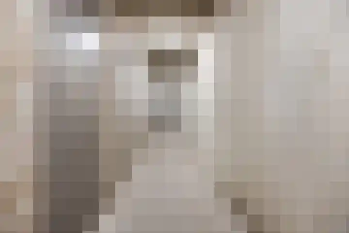 Onderste Scheydt 172 Landgraaf thumbnail 27