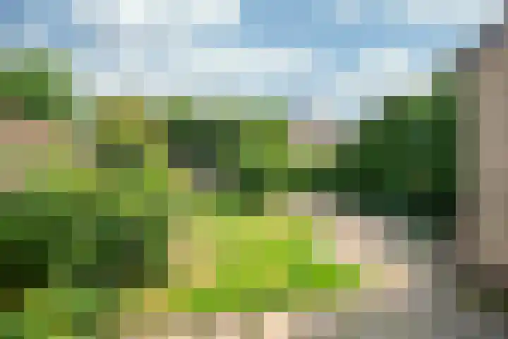 Onderstehof 18 Sittard thumbnail 16