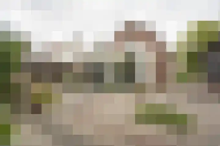 Onderweg 37 Arkel thumbnail 43