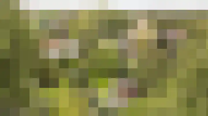 Onderweg 37 Arkel thumbnail 45