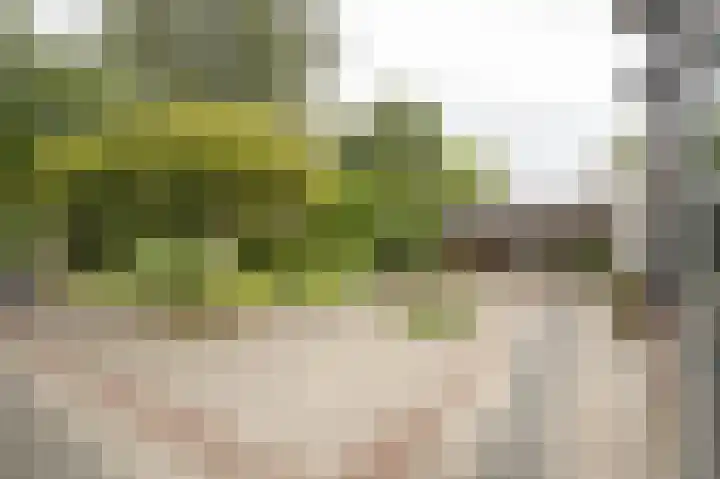 Onderweg 37 Arkel thumbnail 46