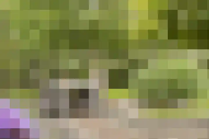 Onderweg 37 Arkel thumbnail 48