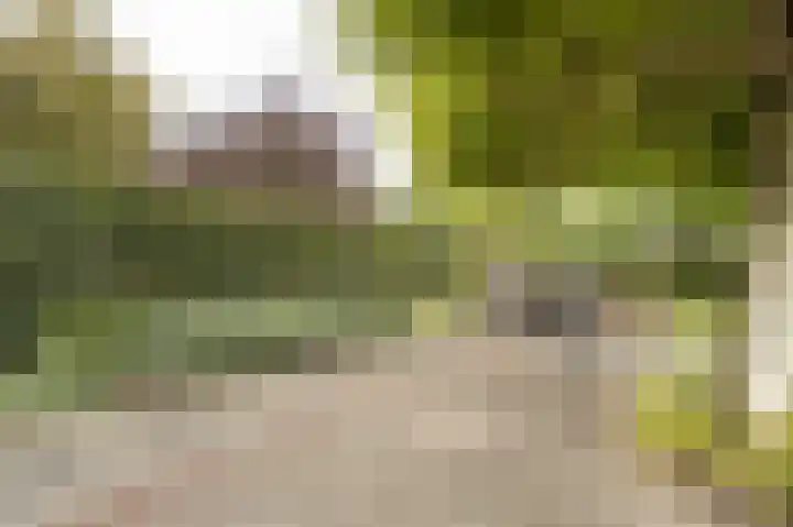 Onderweg 37 Arkel thumbnail 49