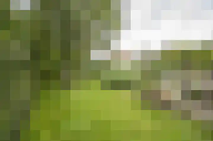 Onderweg 37 Arkel thumbnail 52