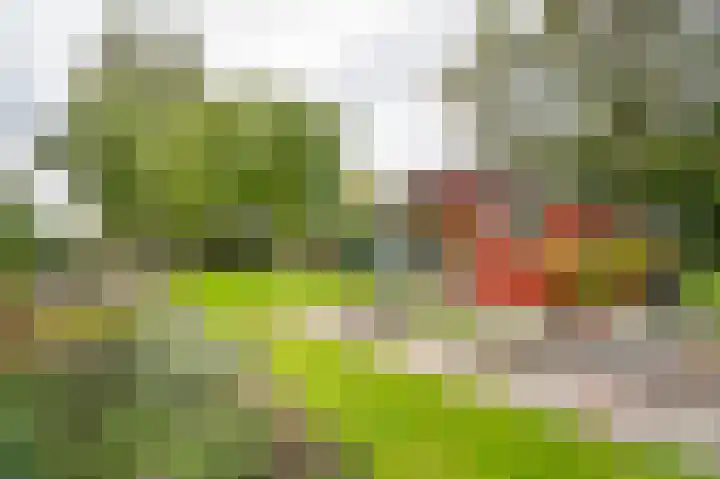 Onderweg 37 Arkel thumbnail 57