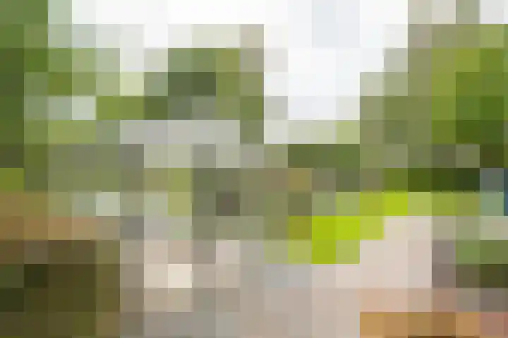 Onderweg 37 Arkel thumbnail 58