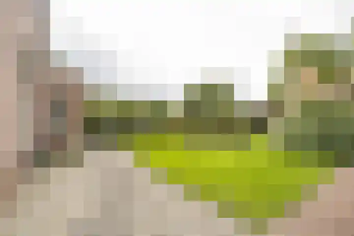 Onderweg 37 Arkel thumbnail 6