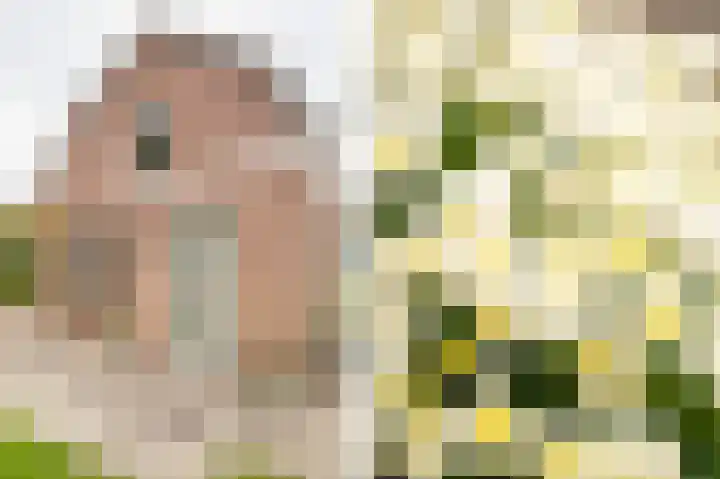 Onderweg 37 Arkel thumbnail 9
