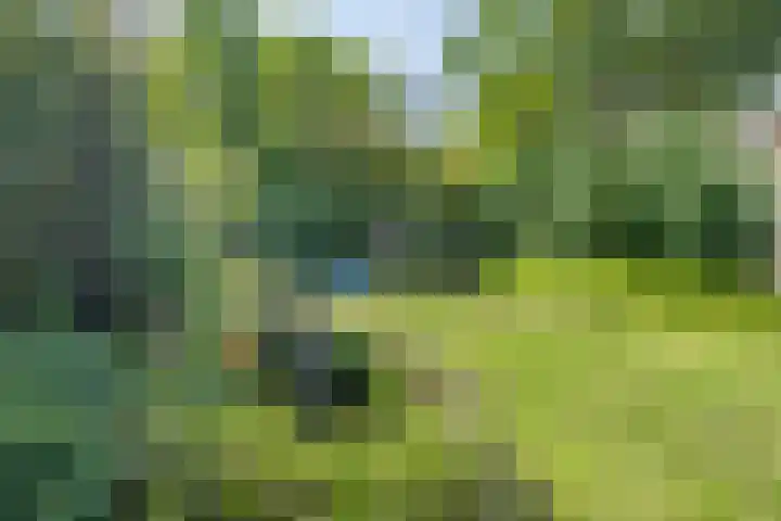 Onderweg 45 Arkel thumbnail 19