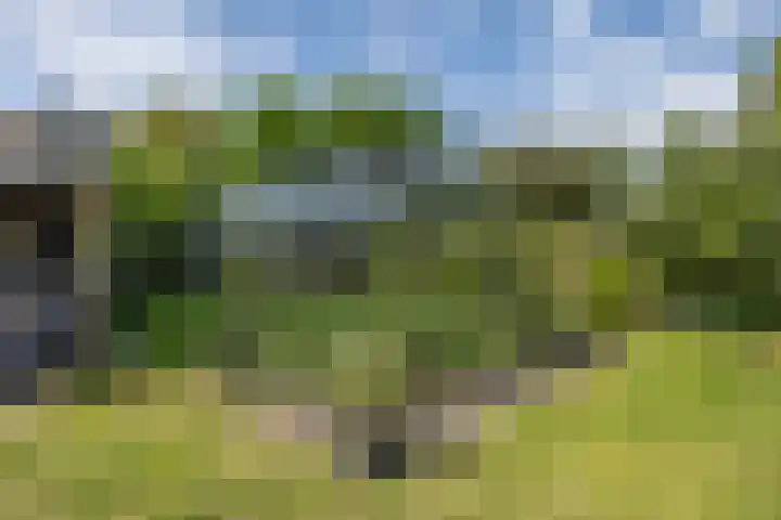 Onderweg 45 Arkel thumbnail 21
