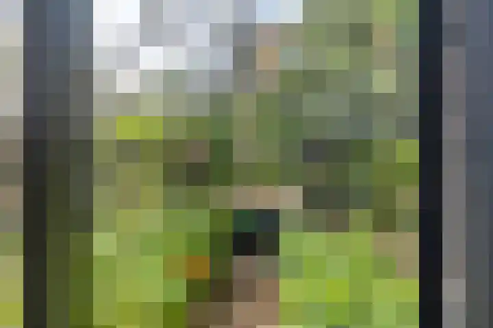 Onderweg 45 Arkel thumbnail 22