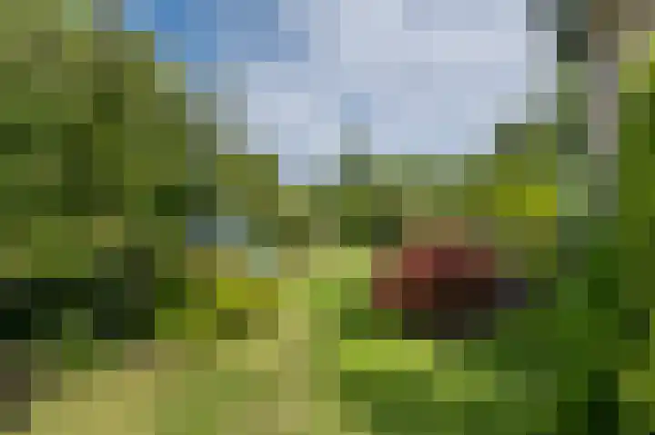 Onderweg 45 Arkel thumbnail 23