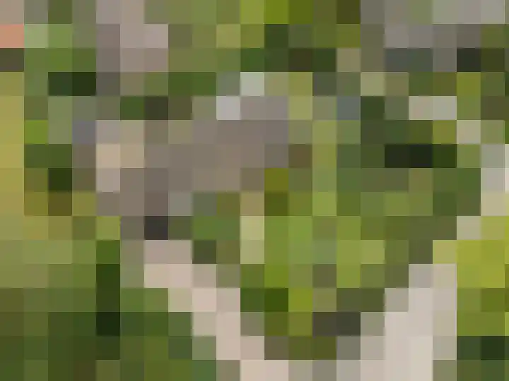 Onderweg 45 Arkel thumbnail 4
