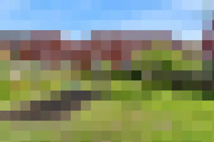 Onegameer 18 Woerden thumbnail 37