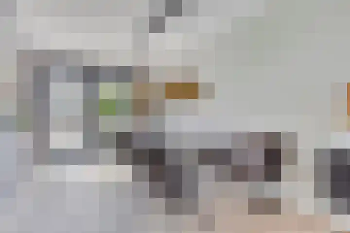 Onkelsticht 65 Dongen thumbnail 15