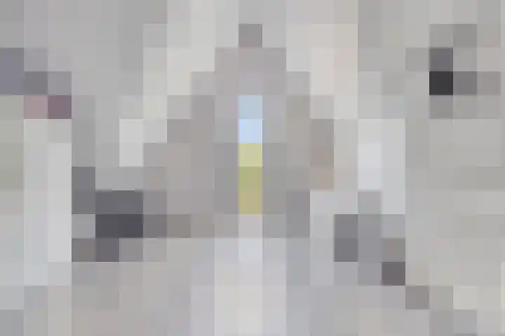 Onkelsticht 65 Dongen thumbnail 23