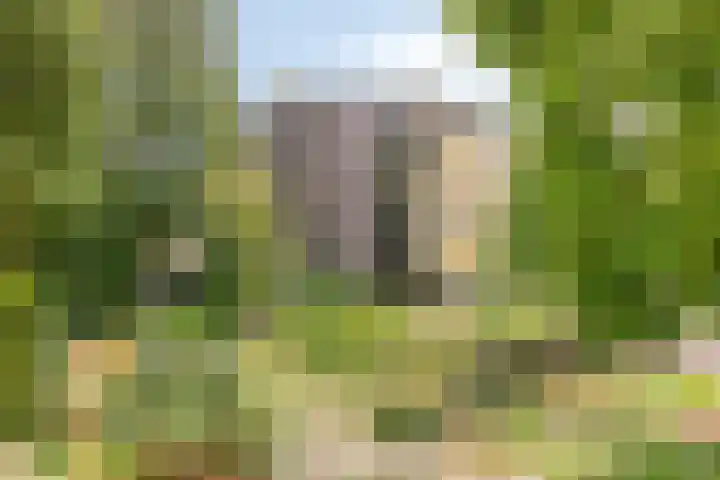 Onkelsticht 65 Dongen thumbnail 25
