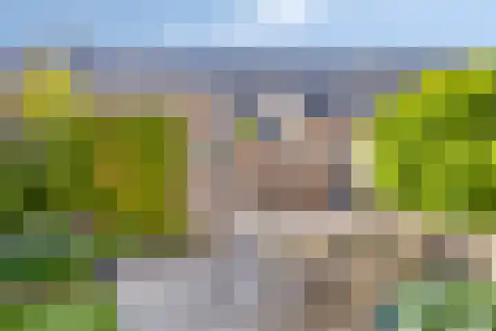 Onkelsticht 65 Dongen thumbnail 25