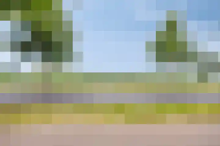 Onkelsticht 65 Dongen thumbnail 27