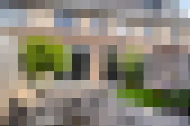 Onkelsticht 65 Dongen thumbnail 6