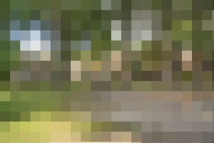 Onlandhorst 11 Enschede thumbnail 41