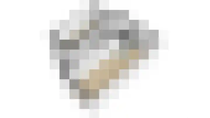 Onlandstraat 5 Lobith thumbnail 41
