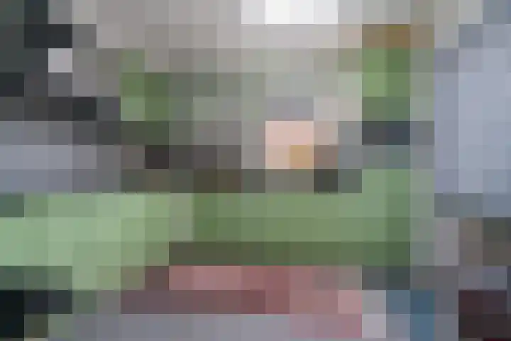Onlandstraat 9 Lobith thumbnail 16
