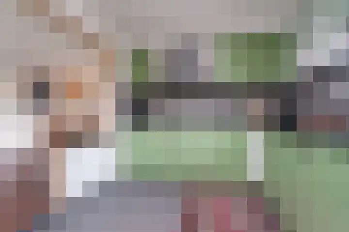 Onlandstraat 9 Lobith thumbnail 17
