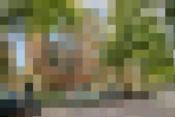 Online Woningbrochure voor https://laanvanblois86.nl