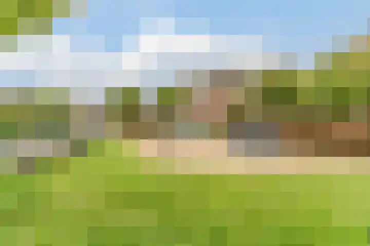 Online Woningbrochure voor https://lessestraat1.nl