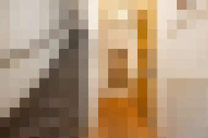 Online Woningbrochure voor https://lonerbroekweg15.nl