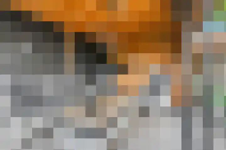 Online Woningbrochure voor https://meishagerstraat21.nl