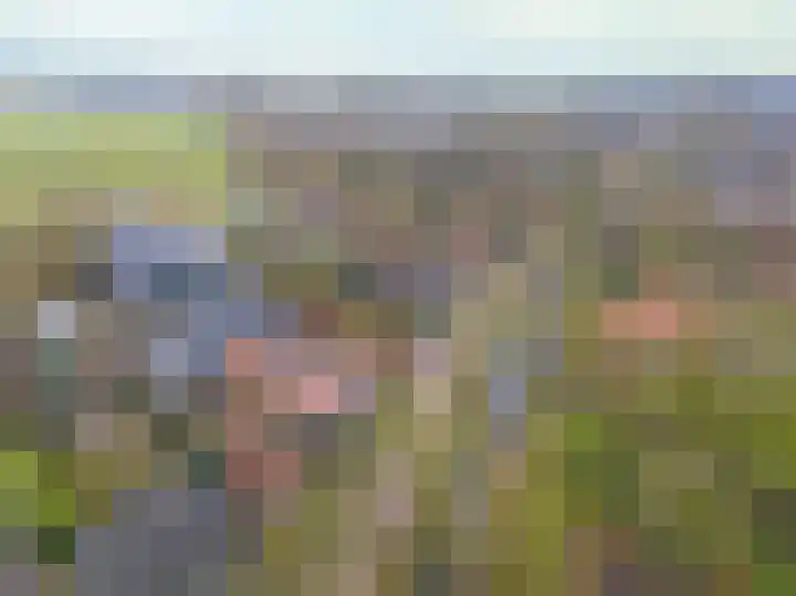 Online Woningbrochure voor https://prinshendrikstraat9.nl