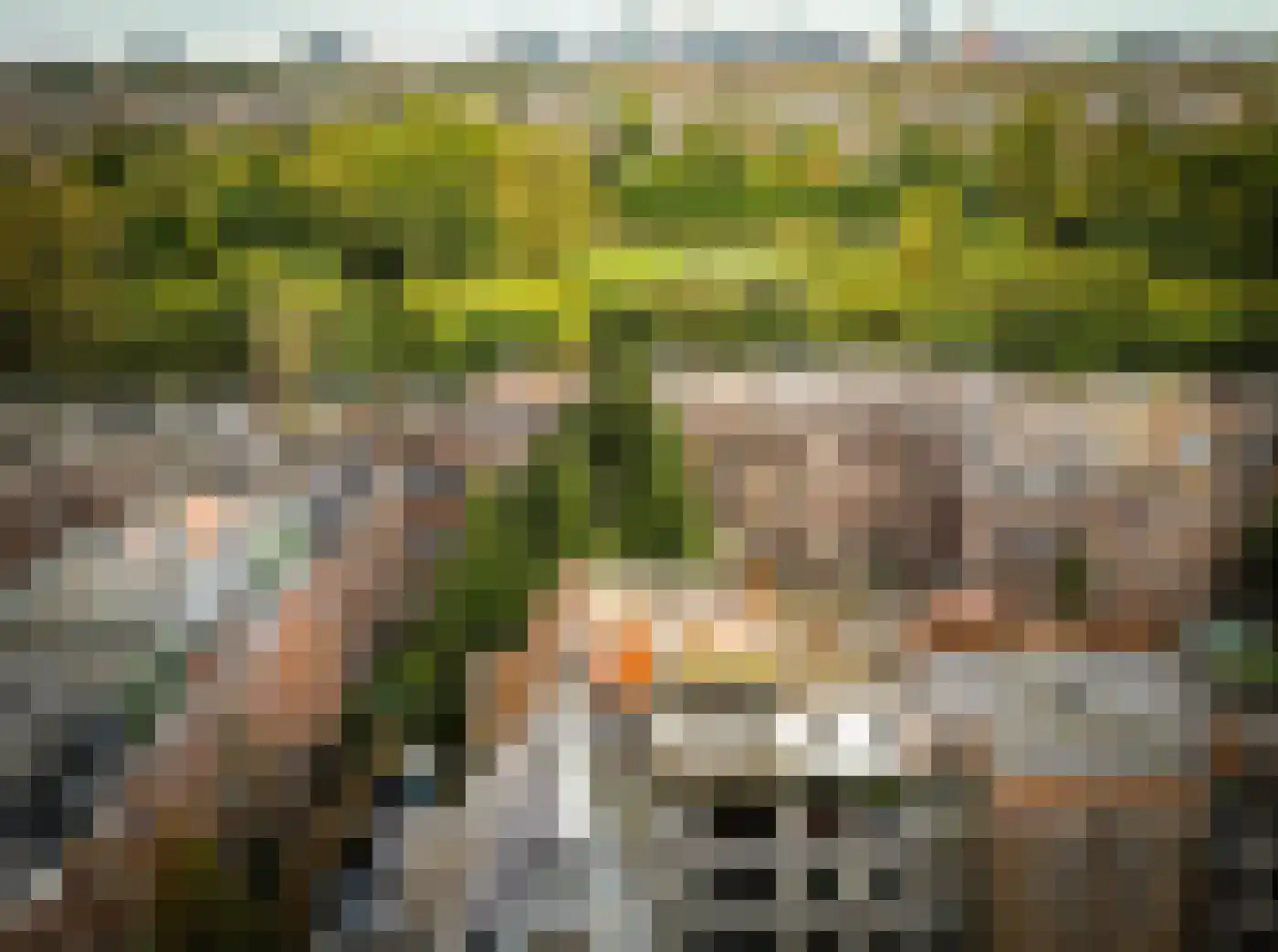 Online Woningbrochure voor https://prinsmauritssingel6.nl