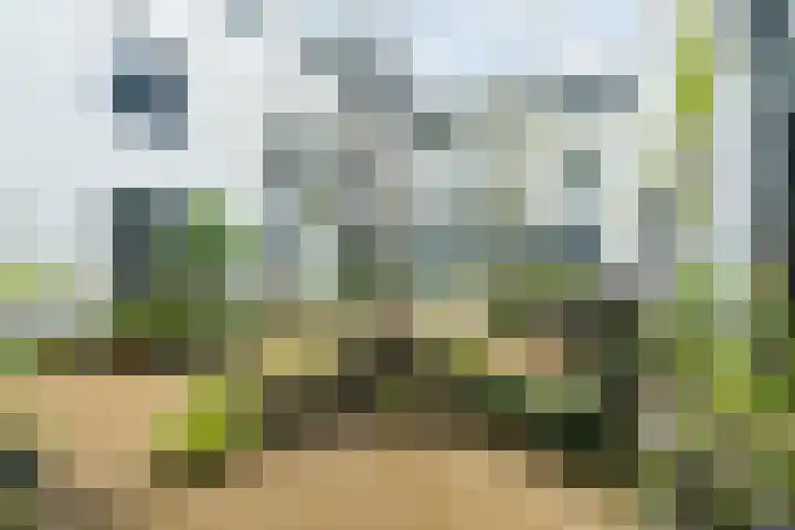 Online Woningbrochure voor https://putterstraat10.nl