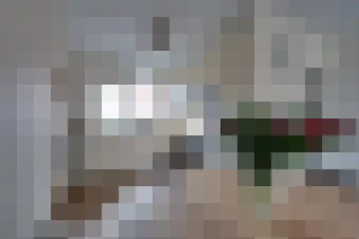 Onnemaheerd 132 Groningen thumbnail 12