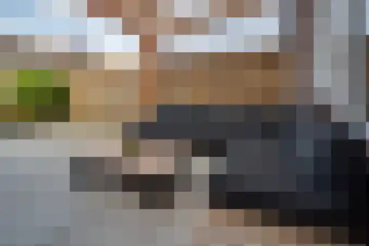 Onnemaheerd 132 Groningen thumbnail 18