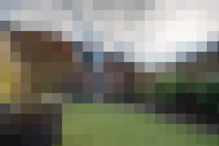 Onnemaheerd 132 Groningen thumbnail 25