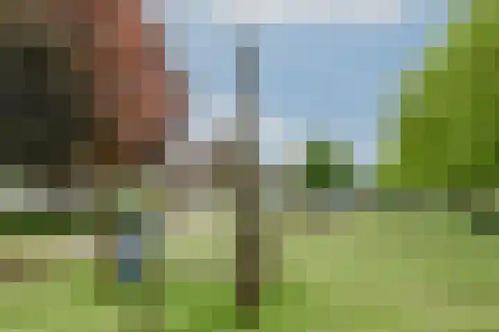Onsenoort 3 Udenhout thumbnail 29