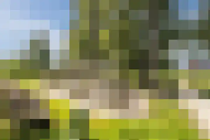 Onsenoort 3 Udenhout thumbnail 32