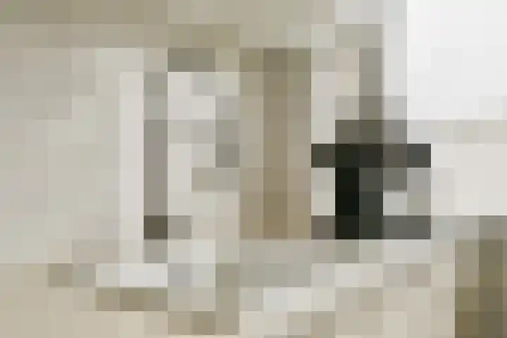 Onstein 102 Amsterdam thumbnail 14