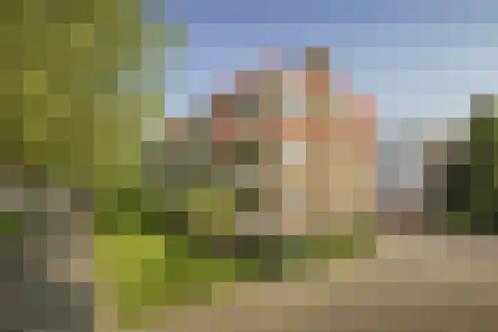 Onstein 102 Amsterdam thumbnail 23