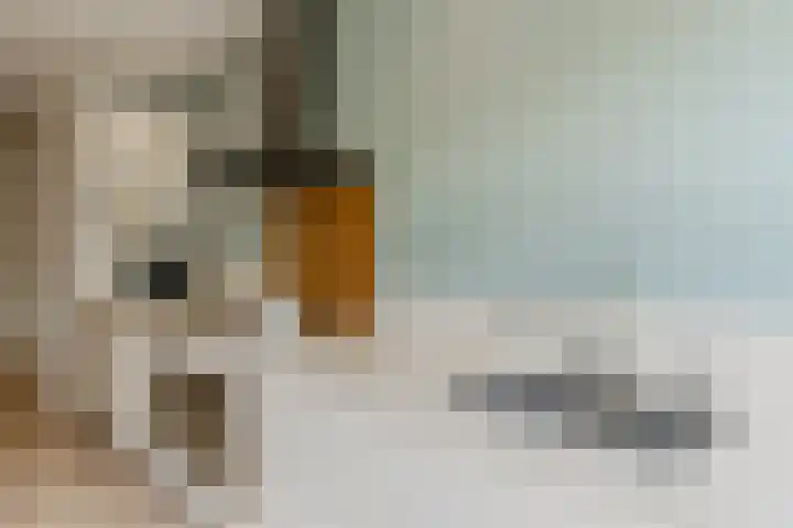 Onstein 47 Amsterdam thumbnail 26