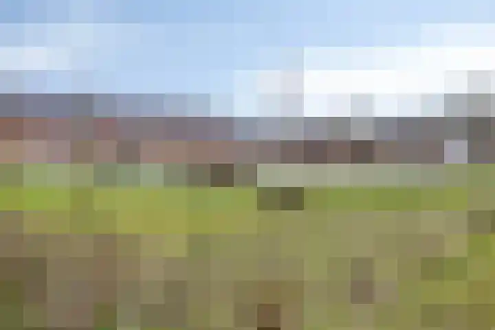 Onstein 82 Amsterdam thumbnail 17