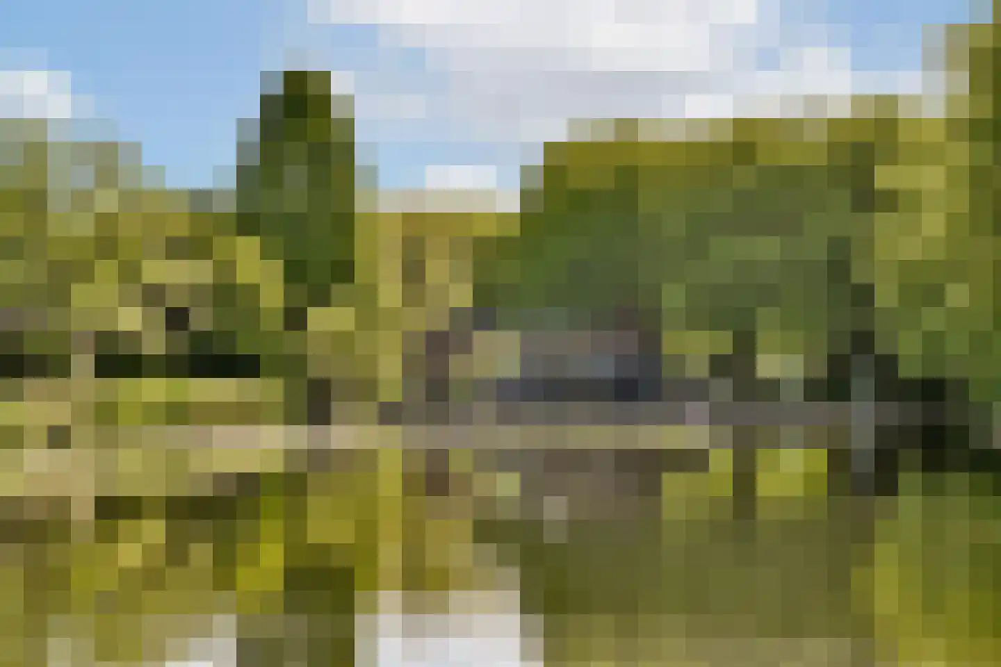 Onstein 82 Amsterdam thumbnail 17