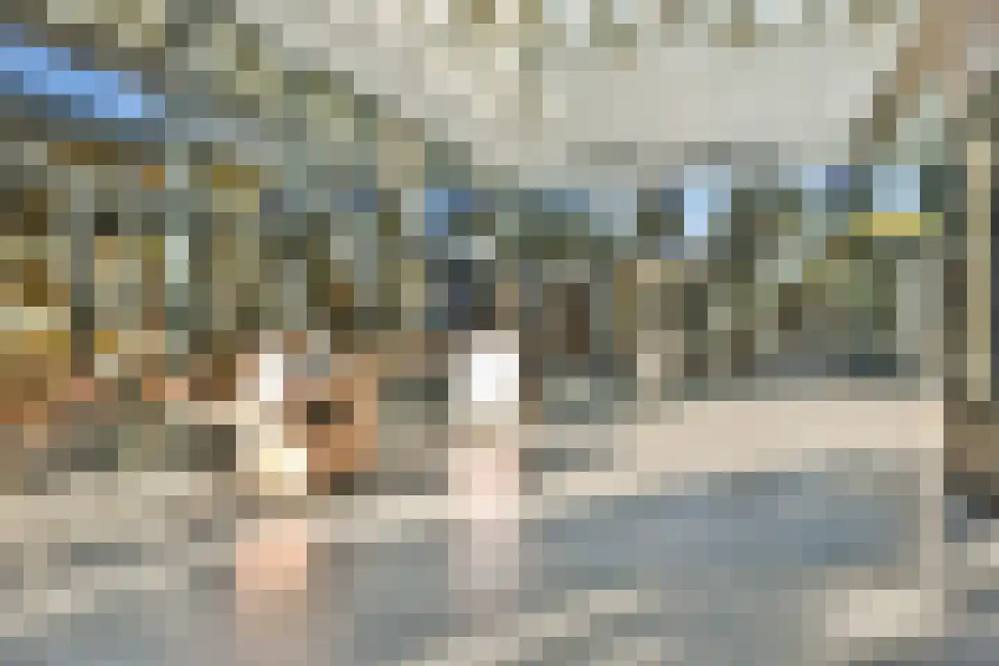 Onstein 82 Amsterdam thumbnail 18